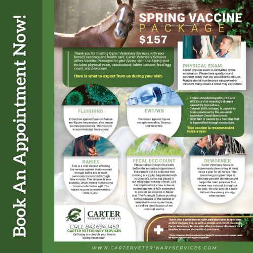 Equine vaccine packages