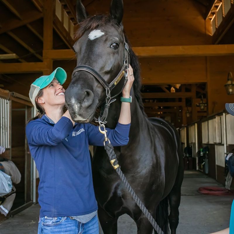 Seasonal Allergies in Horses What to Expect 6.jpg