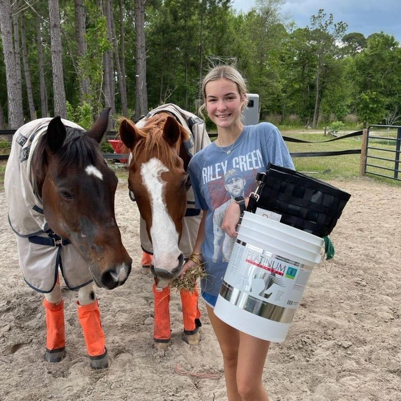 girl holding bucket feeding horses