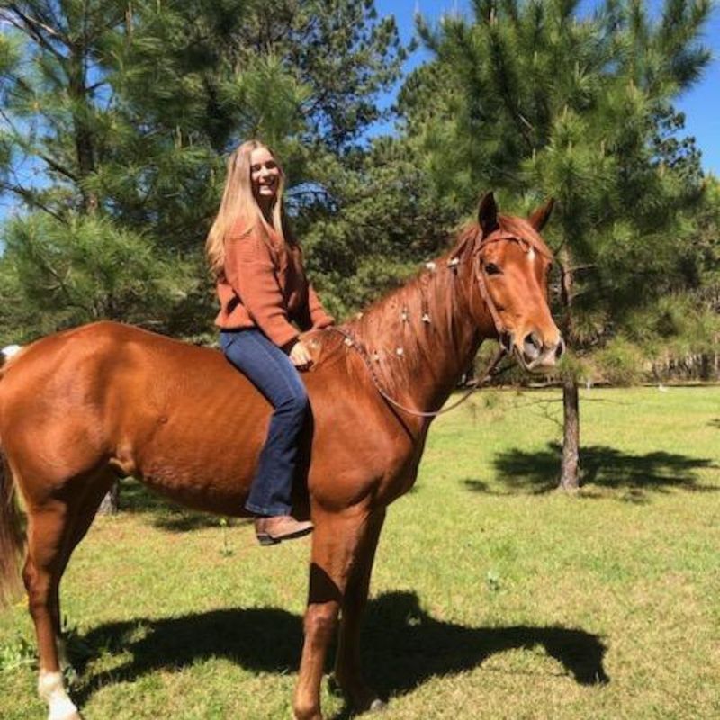 girl riding a horse