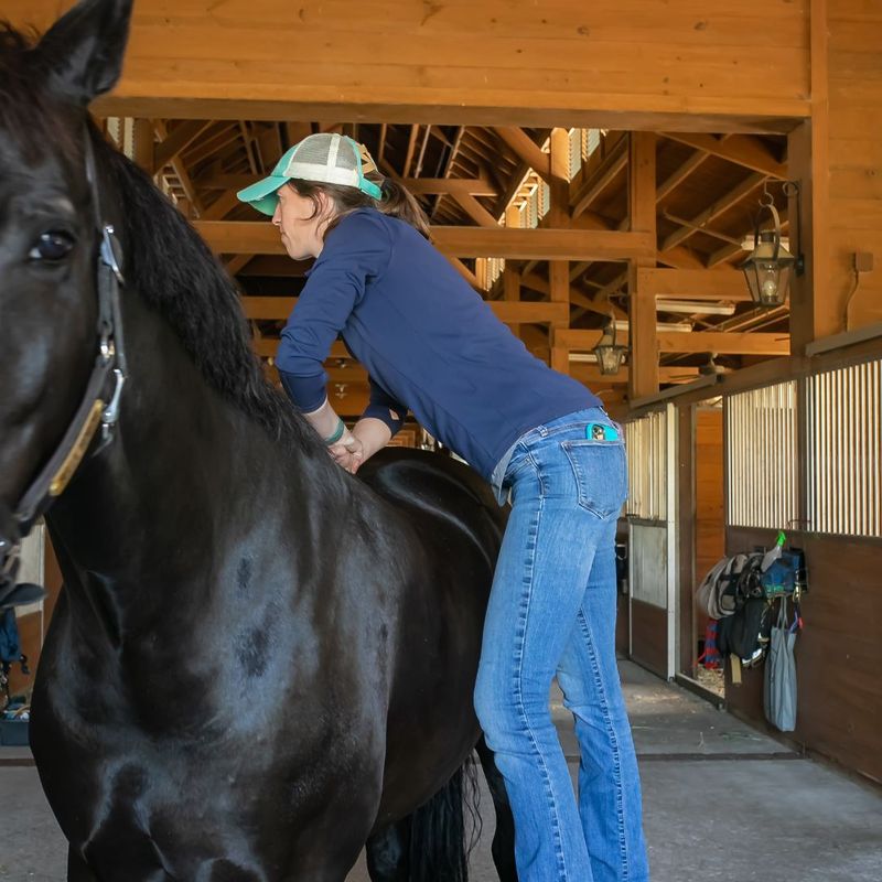 Benefits of Equine Chiropractic Care 2.jpg