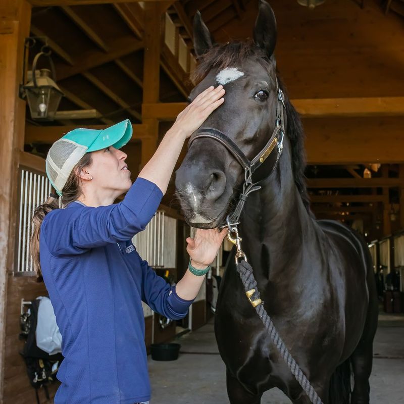 Understanding Strangles and How to Protect Your Horse1.jpg