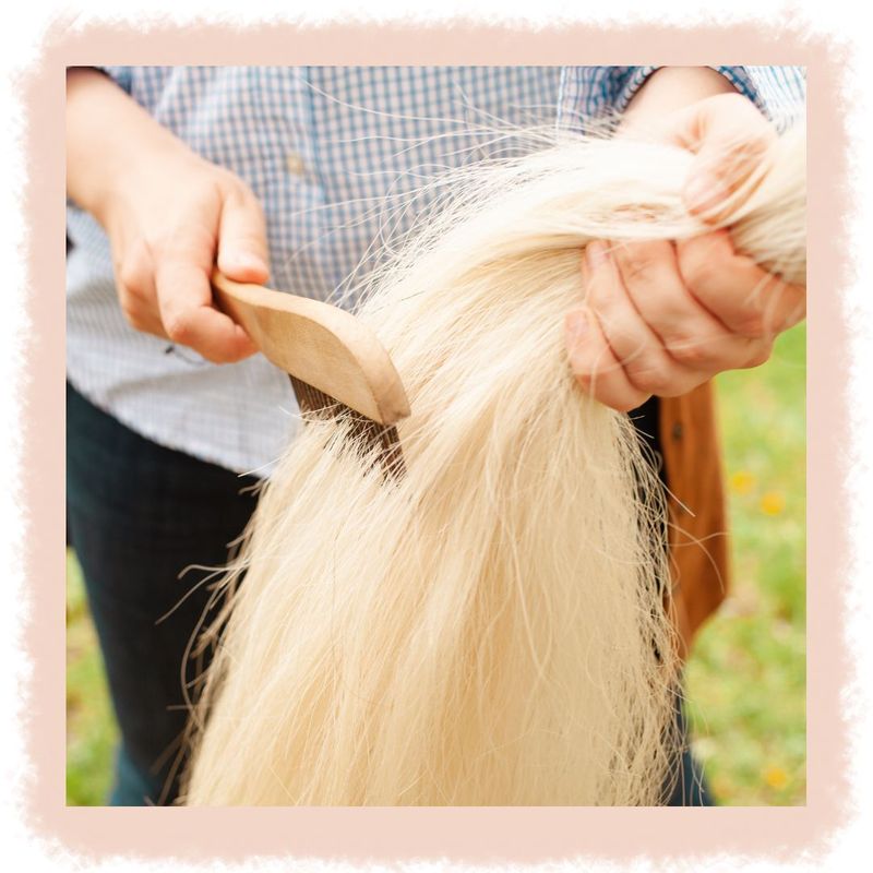 Fall Winter Tail Care Tips for Horse Owners-image1.jpg