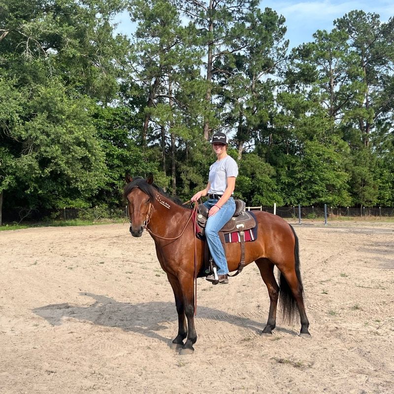 Recognizing Heat Stress in Your Horse Before You Ride - Image 4.jpg