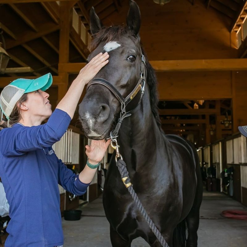 resting hand on forehead of horse