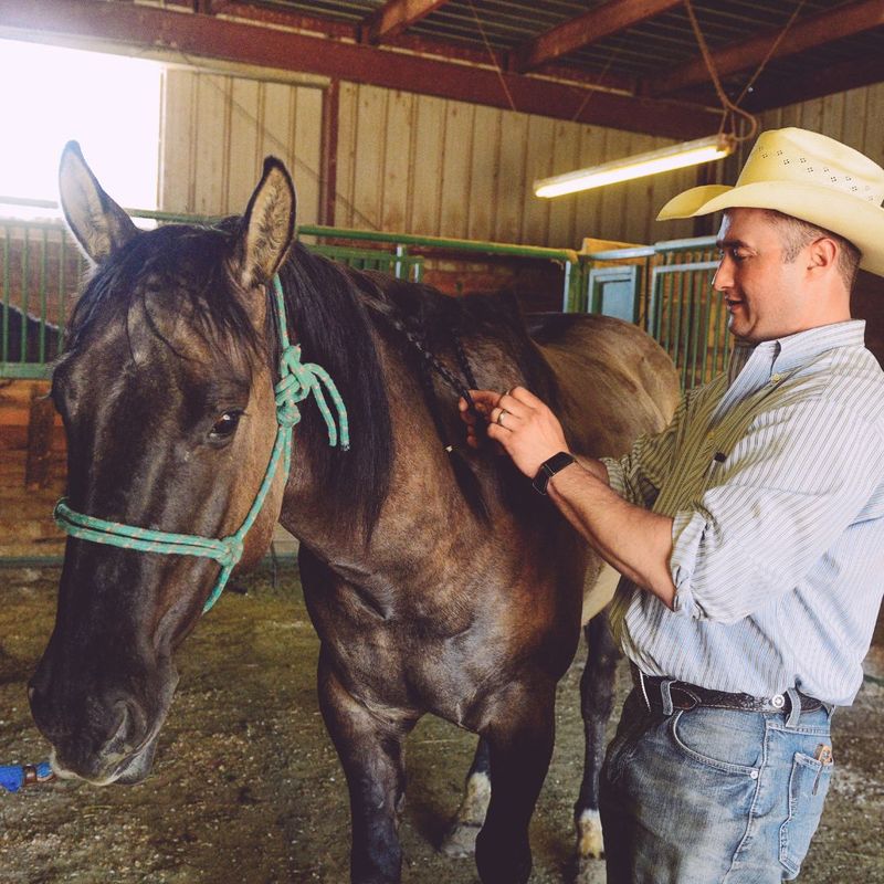 braiding the mane 