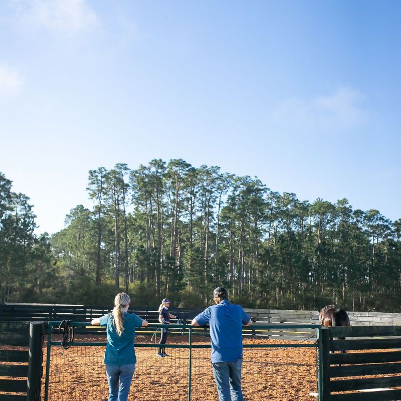 Seasonal Allergies in Horses What to Expect 5.jpg