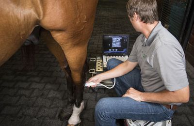 Digital Ultrasound