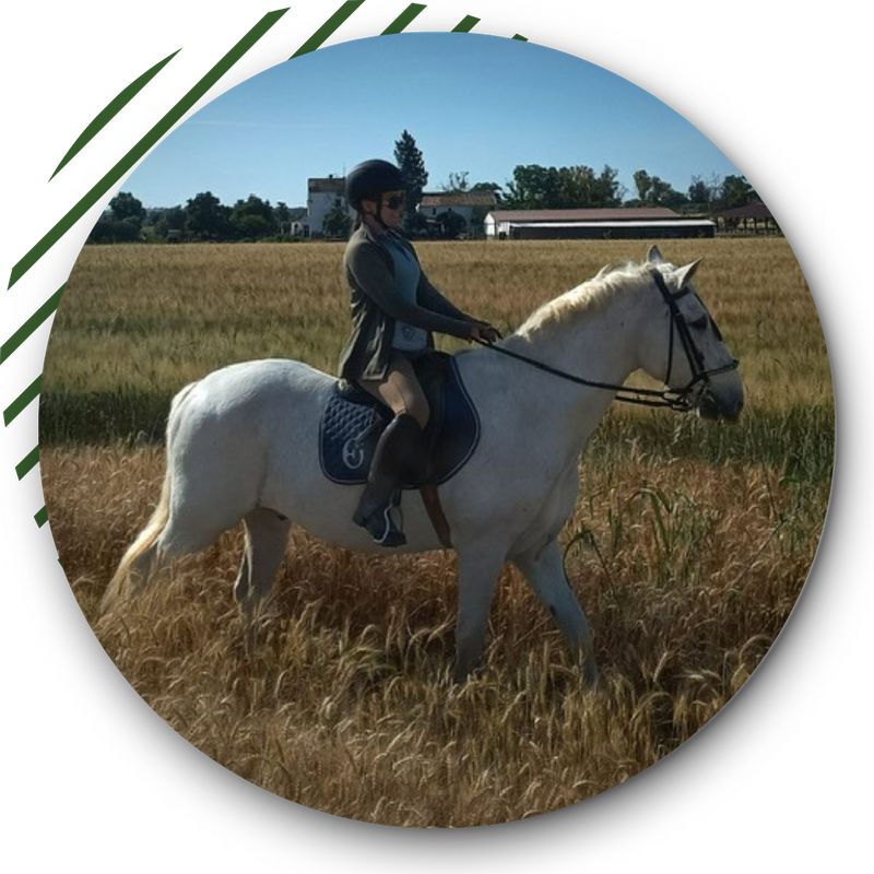 Person riding a white horse