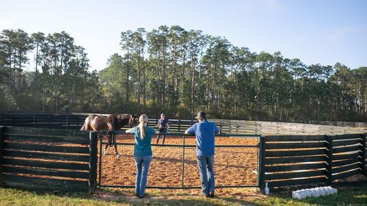 Pre-Purchase Exams - Featured Image.jpg