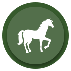 icon2.png
