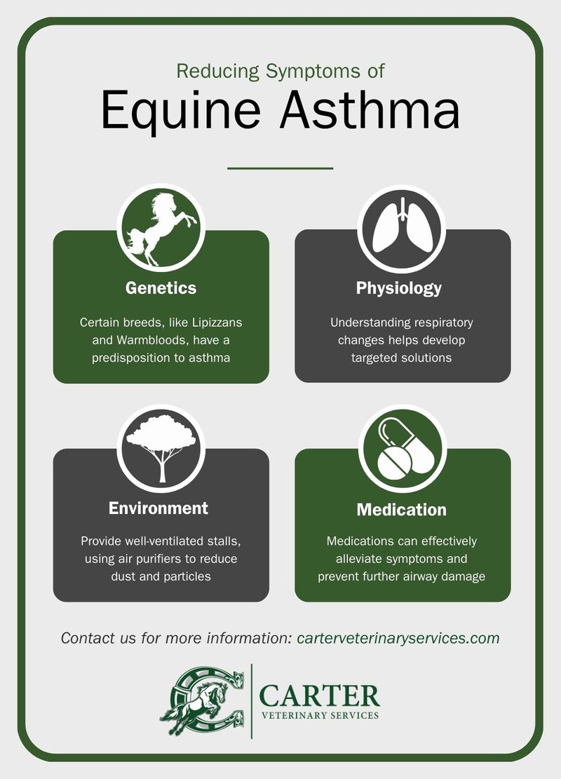 M28841 - Infographic - Equine Asthma.jpg