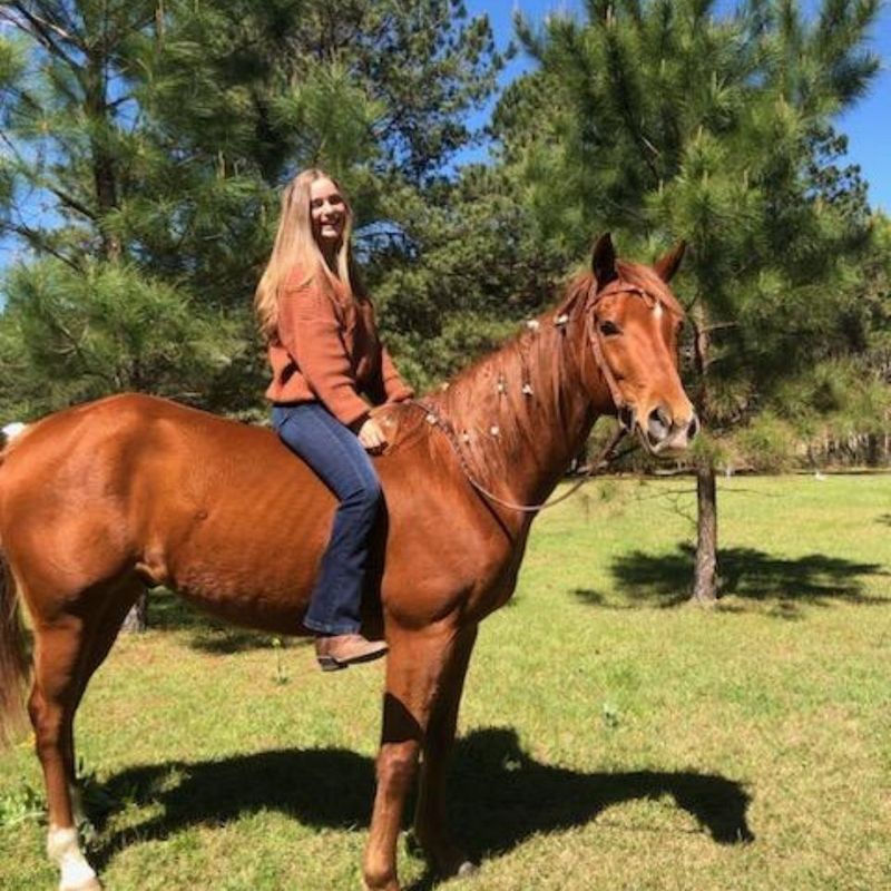 girl sitting on horse
