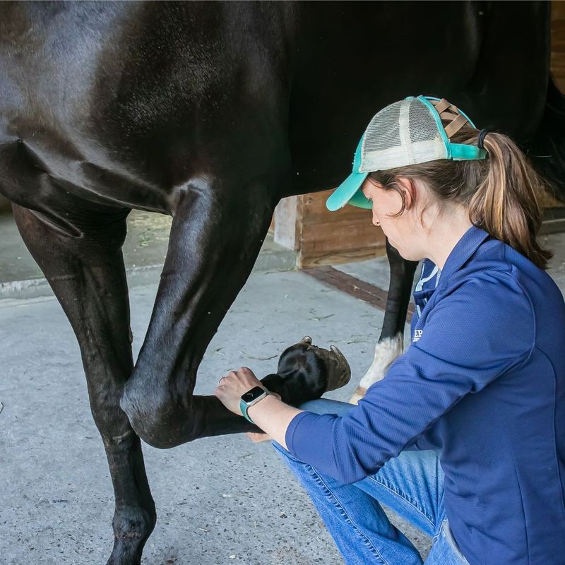 inspecting leg and hoof