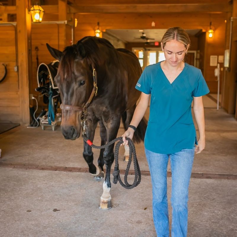 Recognizing Colic3.jpg