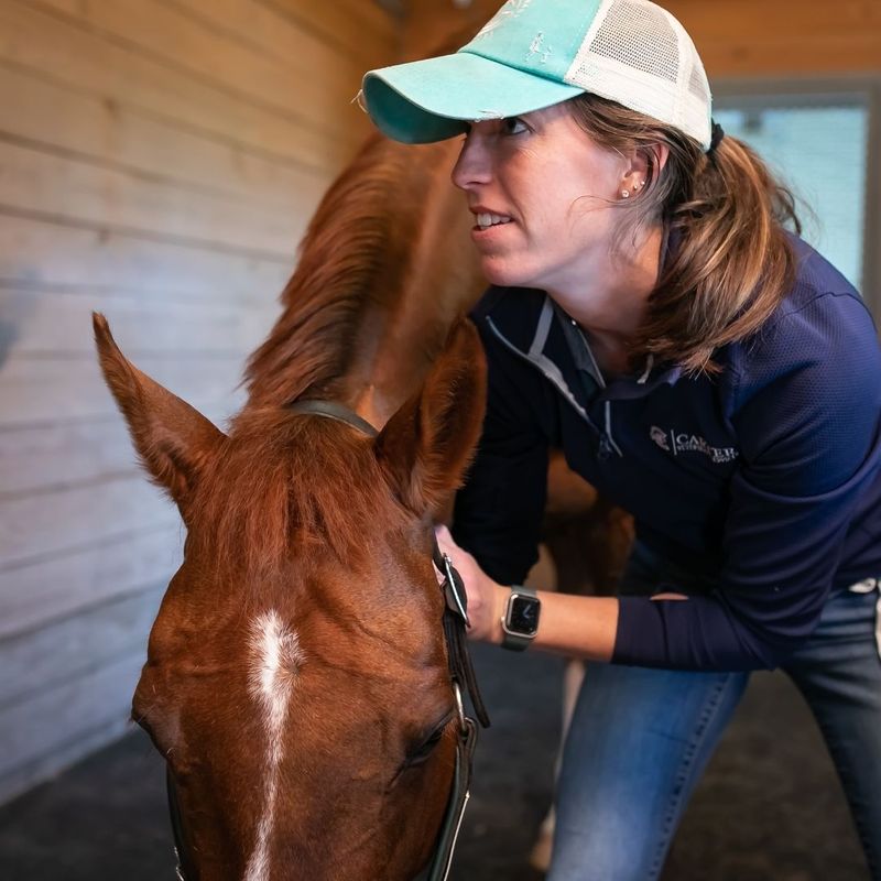 Essential Cold Weather Equine Care1.jpg