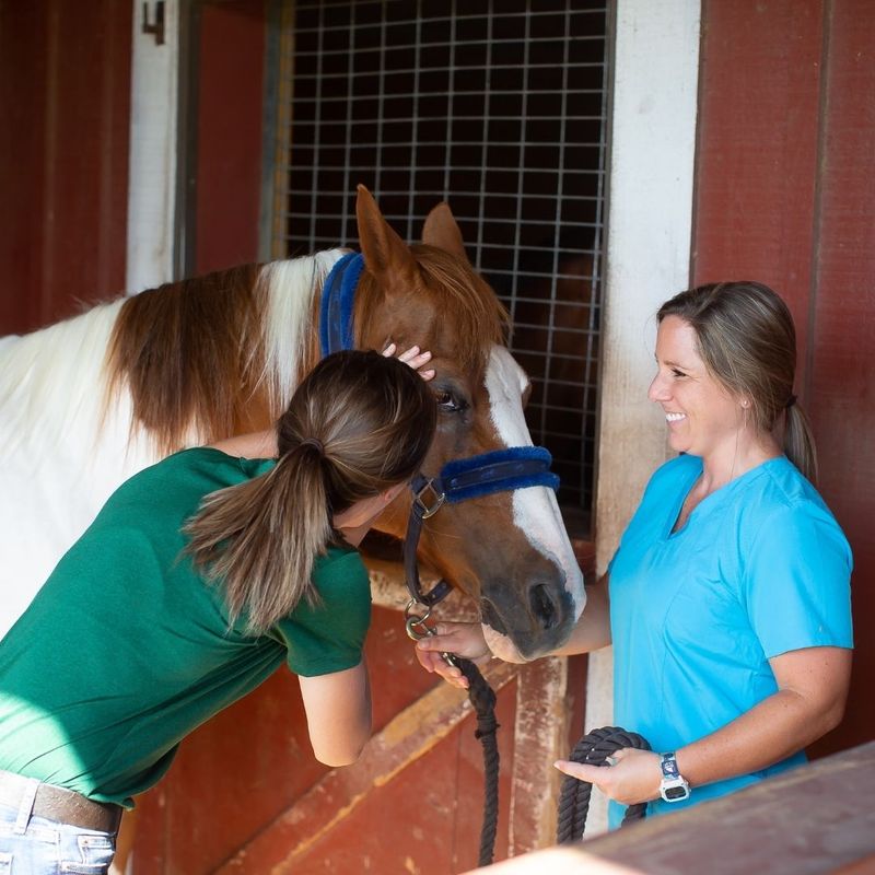 Equine Ophthalmology - Image 4.jpg