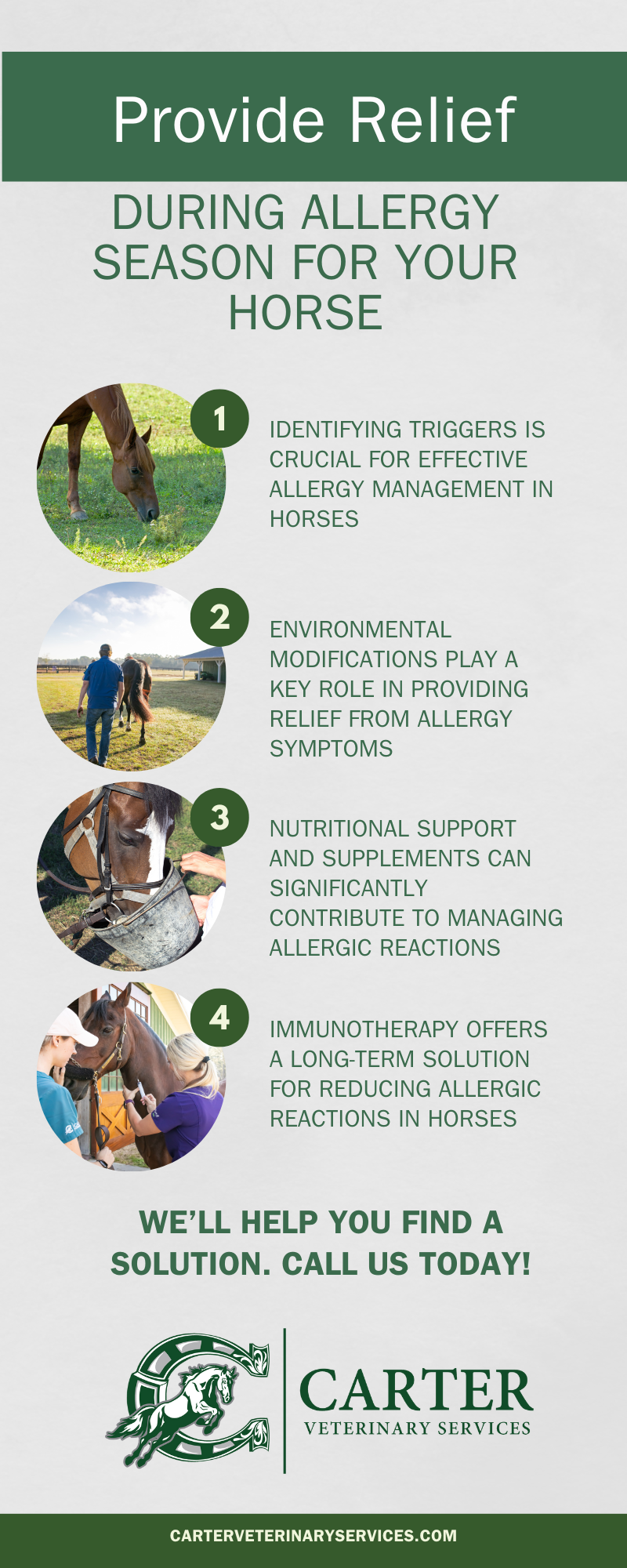 M28841 - Infographic - How To Provide Relief During Allergy Season For Your Horse .png