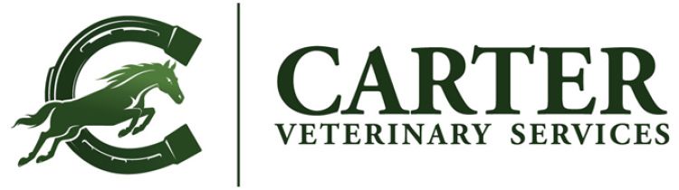 carter veterinary services - lowcountrys equine specialist - carter veterinary services on carter pet hospital website