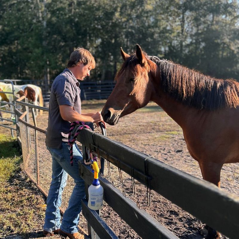 The Impact of Parasite Control on Horse Health4.jpg