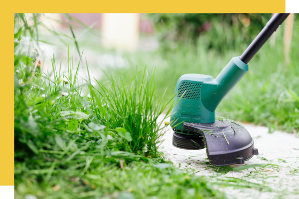 edge trimming lawn