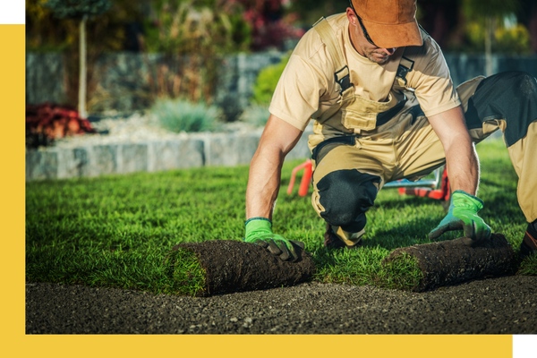 laying sod