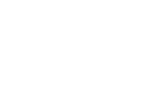 ROTHY.png