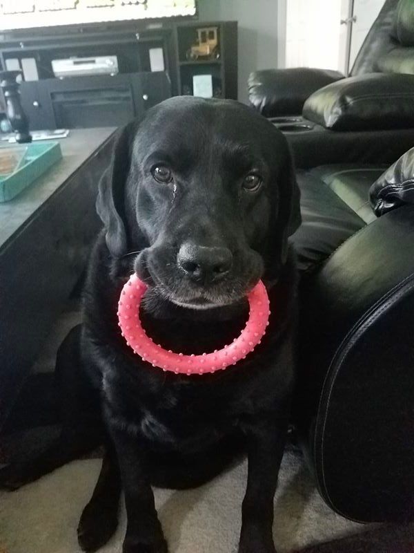 Bubba Bear Pic.jpg