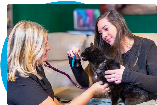 An AppointmentMinor Procedures & Dental Procedures-2.png