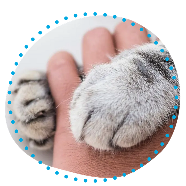 Hospice & End-of-Life Care-1.png