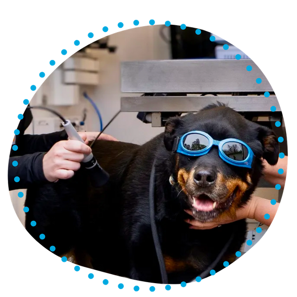 Chronic Disease Management-1.png