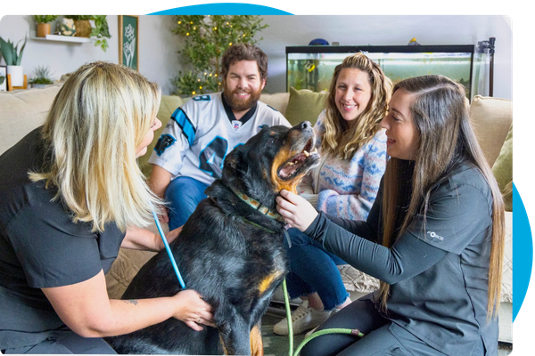 An Appointment W Us-2.png