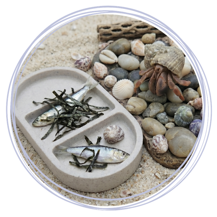 Nutrition - 2 (2).png