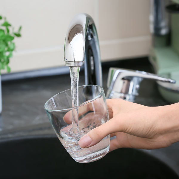 tap water for hermit crabs.png