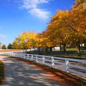 Kentucky Landscape