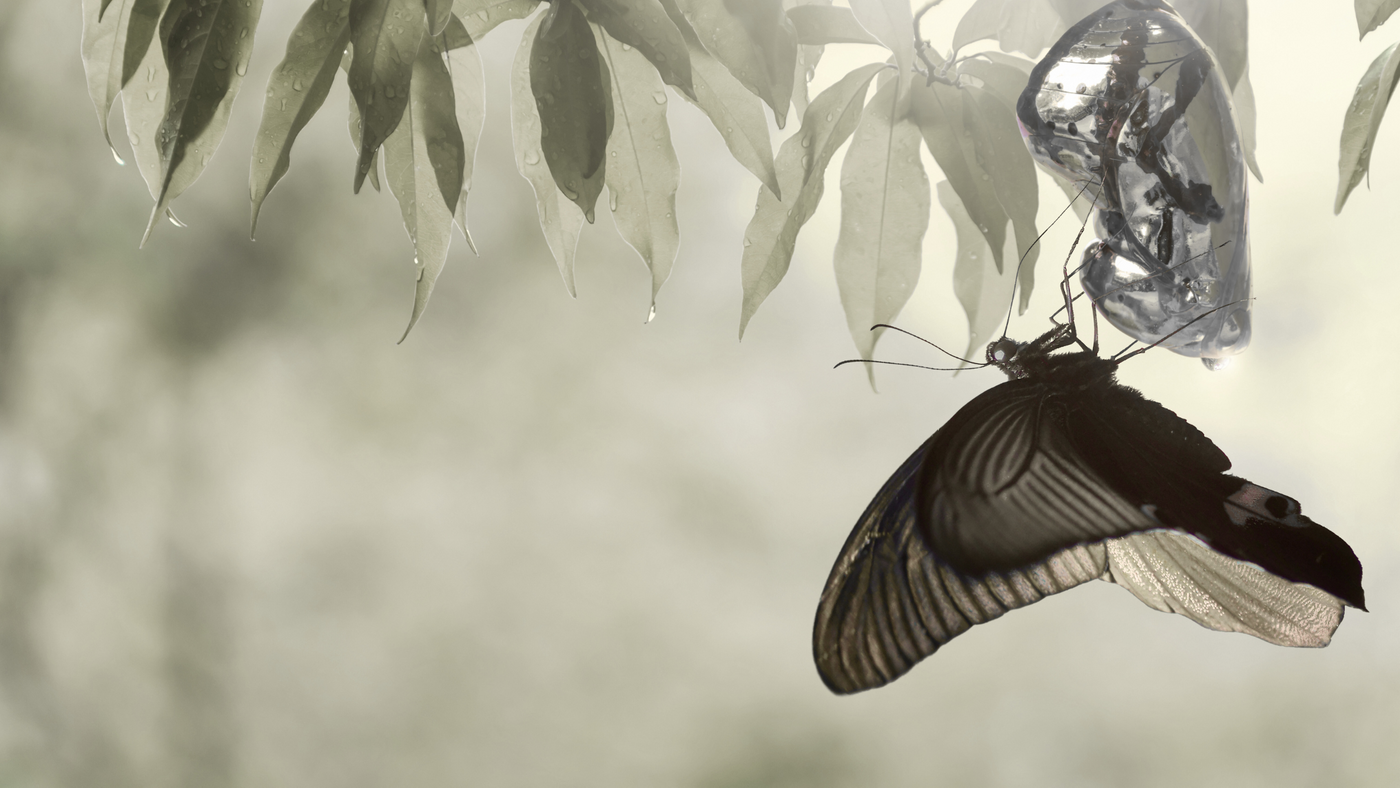 Untitled design (19).png