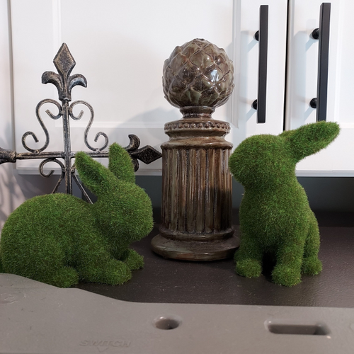 Goodwill at Home - Image 3d.png
