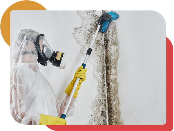 Mold & Asbestos Removal Page Image.png