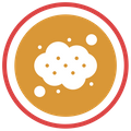 Allergy Icon.png