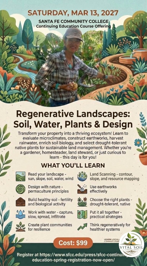 image (1).png