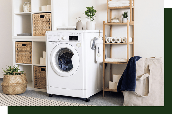 Maple Grove - Image 4.png