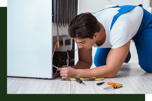 Fridley - Image 1.png