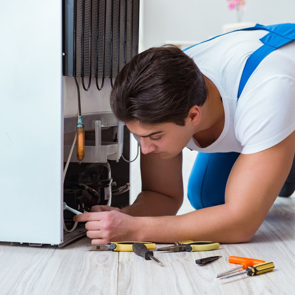 professional fridge repair 