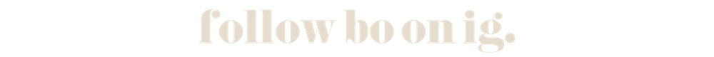 follow bo on ig.png