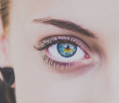 Lash Lift and Tint Northampton MA Herdis