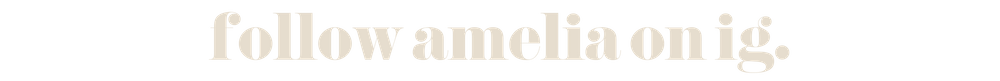 follow amelia.png