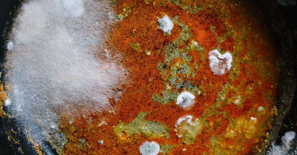 Is That Musty Smell in Your Building a Sign of a Major Mold Problem header.jpg
