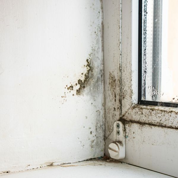 Mold Remediation.jpg