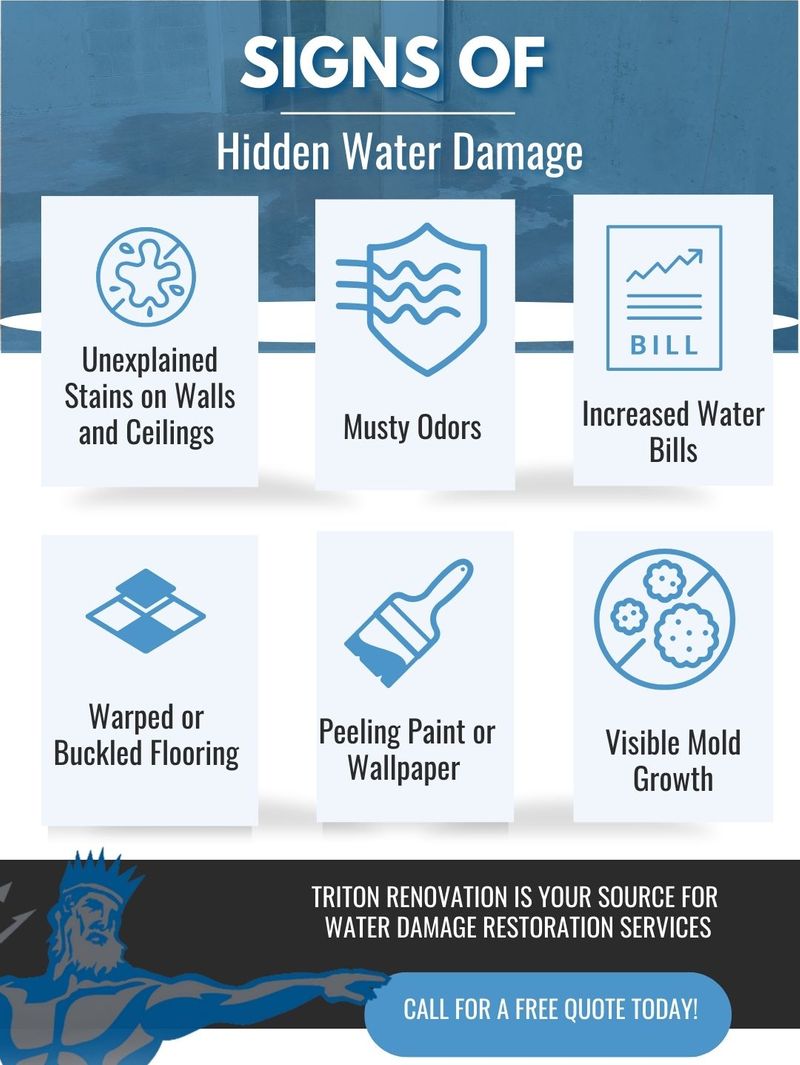 _Triton RenovationSigns Your Commercial Property May Have Hidden Water Damage infographicn FAQs Answering Your Burning Questions.jpg