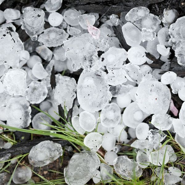 hail stones